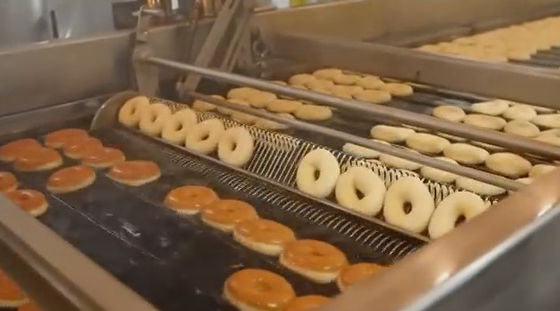 kaufen Hohe Automatisierungs-Donut-Fertigungsstraße mit modularer Teig-bedeckendem System Online-Herstellung