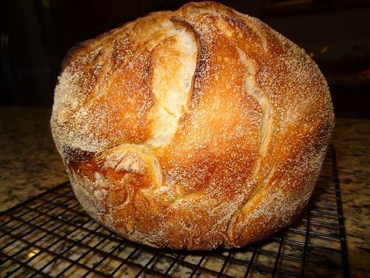 kaufen Einfach lassen Sie Brot-Fertigungsstraße-hohe Automatisierung mit Siemens PLC-Kontrollsystem laufen Online-Herstellung
